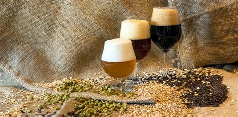 Birra Artigianale La Sfida Si Vince Con Turismo E Territorialit