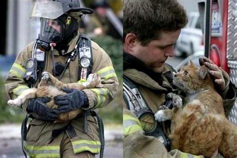 14 Photos Poignantes De Pompiers Accompagnés De Lanimal Quils