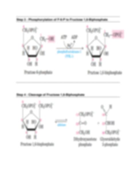 Solution Glycolysis Detailed Explanation Studypool