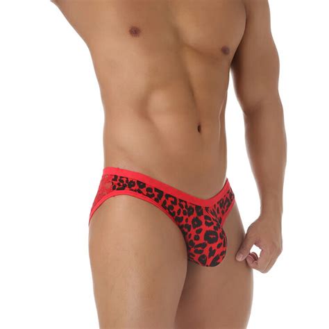 楽天市場Beast Lace Bikini ローライズ ビキニ レース素材 通気性 ハフバックブリーフ 魅力 カッコイイ 情熱 セクシー 立体フロント パッションinsolent