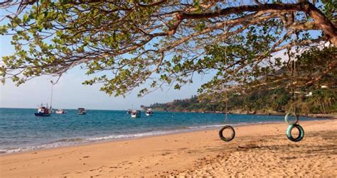 Praia da Armação Ilhabela Guia completo Naturam