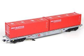 B Models H Aae Containertragwagen Sgns X Bulkcontainer Den