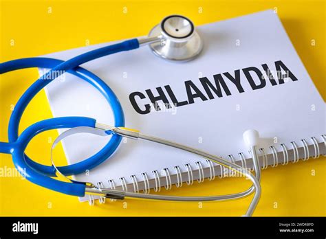 Chlamydia Chlamydia Trachomatis Conceptual Word Chlamydia In Doctor S