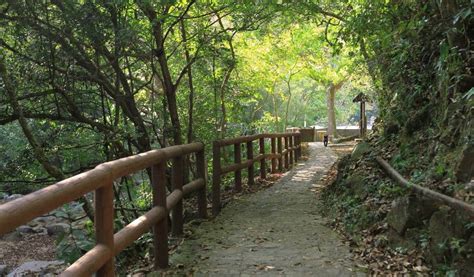 Tai Po Area Guide Hong Kong Cheapo