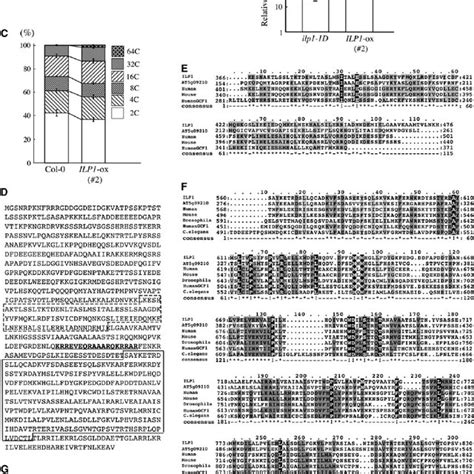 Cloning And Characterization Of The Ilp1 Gene Download Scientific