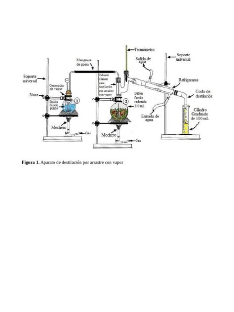 Aparato De Destilación Por Arrastre Con Vapor Pdf