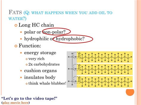 Ppt Lipids Powerpoint Presentation Free Download Id2720690