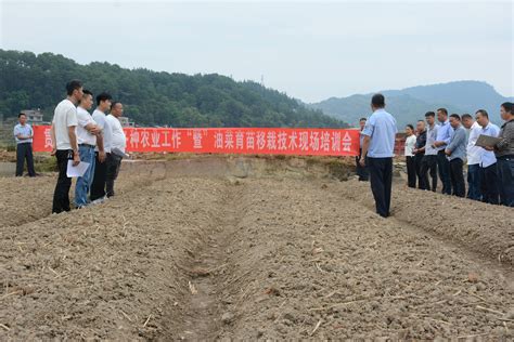 从江县贯洞镇以高产为目标认真开展油菜育苗培训种植户群众技术