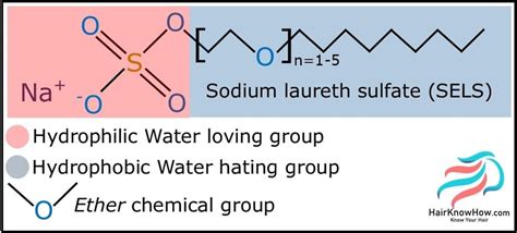 Sodium Laureth Sulfate SLES Discover The Science Of Sodium Sulfate