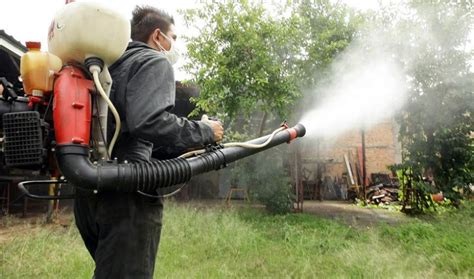 C Mo Cu Ndo Y D Nde Conviene Fumigar La Gaceta Salta