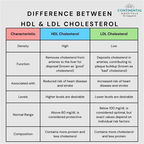 What's the Difference Between HDL and LDL Cholesterol?