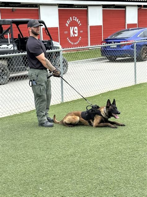 Jefferson County Sheriffs Office In Colorado Has Two New K 9 Units