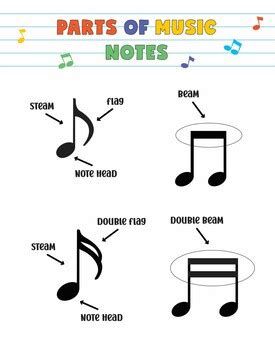 Note duration and Parts of music notes by Two Music Sisters | TPT