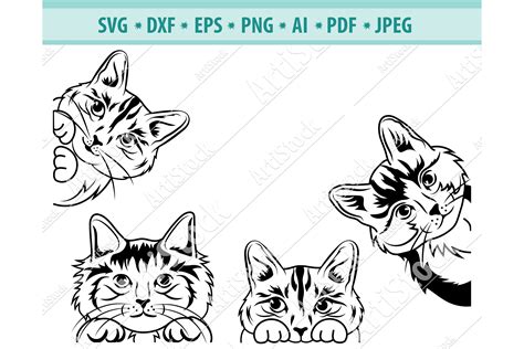 Pet Supplies Pet Portraits Peeking Cat Png Kitten Silhouette Cat Eyes