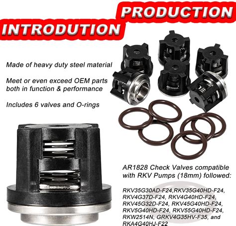 Ar Check Valve Ar Packing Kit For Annovi Reverberi Mm Xr Rk