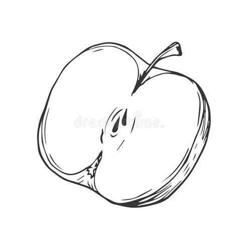 Apple Slice Ink Sketch Black Line Fruits Illustration Set Graphic