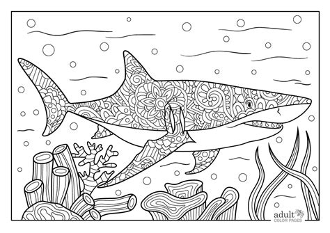 Free Printable Detailed Shark Coloring Pages for Adults