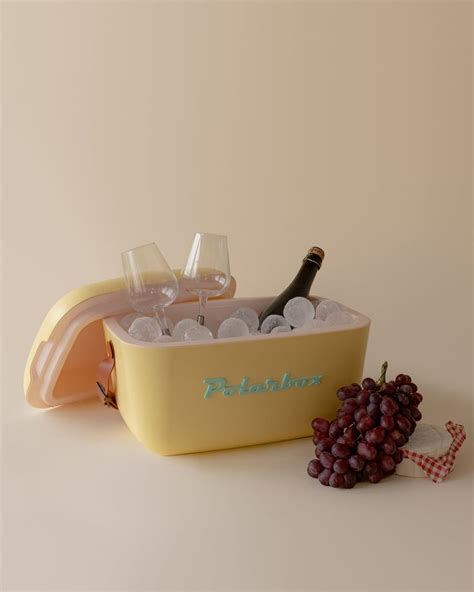 Polarbox The Retro Cooling Box Nude Tothepointer In Retro Cooler Vintage Cooler