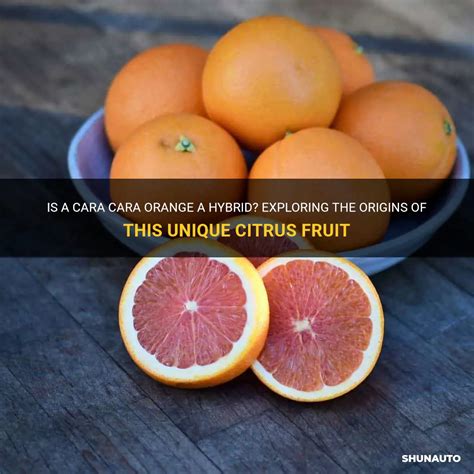 Is A Cara Cara Orange A Hybrid? Exploring The Origins Of This Unique