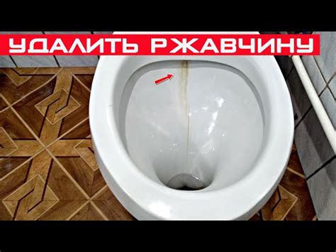 Эффективные методы и средства для очистки унитаза от ржавчины: советы и ...