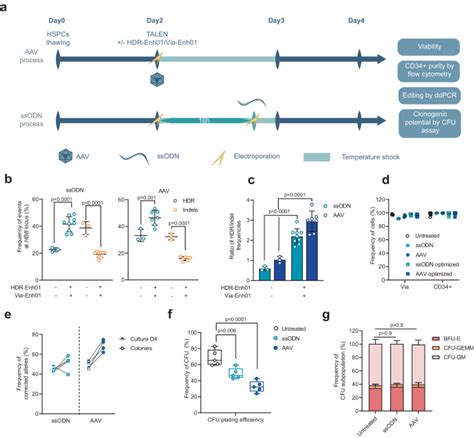 Non Viral Dna Delivery And Talen Editing Correct The Sickle Cell