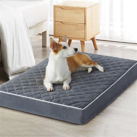 Amazon Wnpethome Camas Ortop Dicas Para Perros Grandes Cama