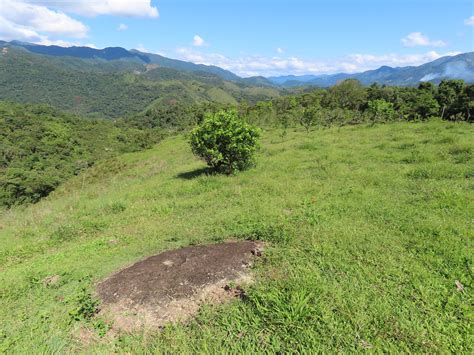 Paisaje San Carlos Antioquia DAIRO CORREA Flickr