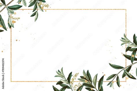 Olive Branches Frame Png Hand Drawn Border Design Space Stock