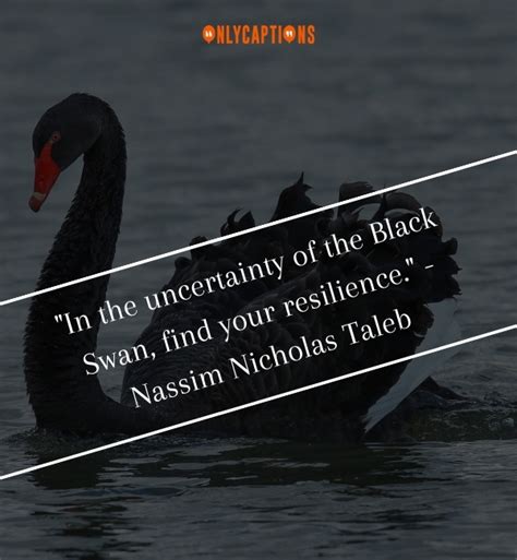 630+ The Black Swan Quotes (2024) Challenge Your Beliefs