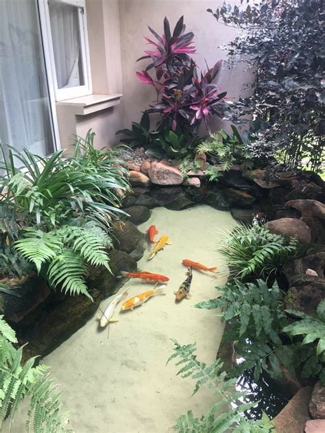 Indoor koi pond | Small backyard garden design, Koi pond design, Fish ...