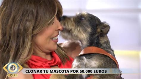 Vídeo Los perros toman La mirada crítica con la de Terradillos en