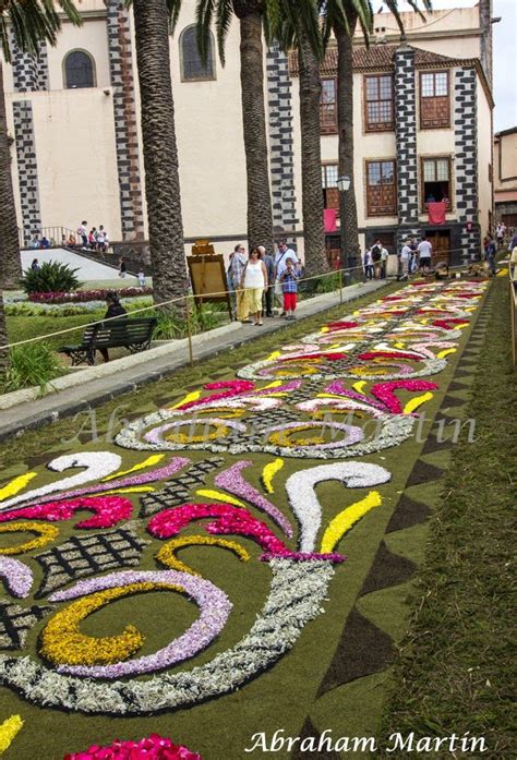 TENERIFE EN IMÁGENES ALFOMBRAS DEL CORPUS CHRISTI DE LA OROTAVA 2014