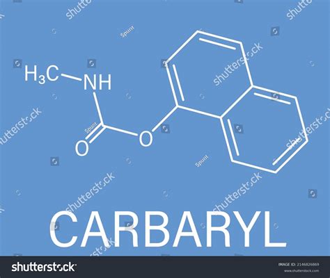 Carbaryl Carbaril Insecticide Molecule Carbamate Class Stock Vector ...