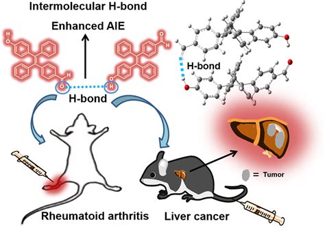 纳米人 Anal Chem利用氢键增强AIE效应以在炎症和肝癌模型中检测次氯酸