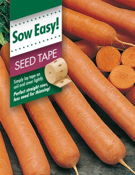 Carrot Manchester Table Seed Tape Vegetable Seeds By Mr Fothergills