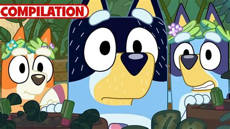 Bluey Compilation S2 Full Episodes Sleepytime Bus MORE