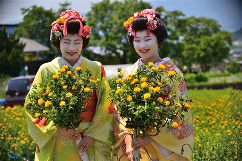 白鷹町 紅花まつり 山形舞子撮影会 Koubouのホームページ