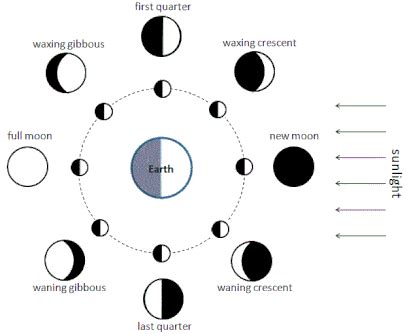 Match The Appropriate Moon Phase To The Description Given The Phase