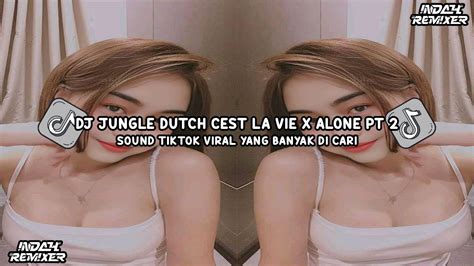 Dj Jungle Dutch Cest La Vie X Alone Pt Viral Tiktok Dj Fyp Viral