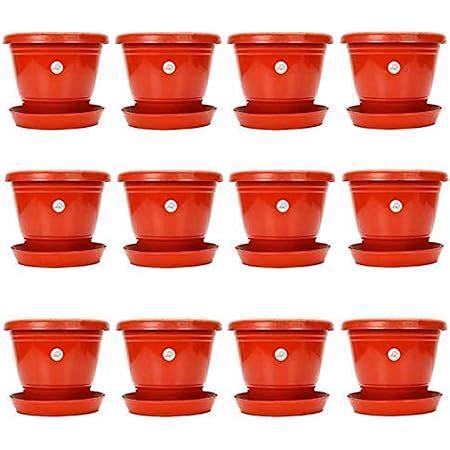 Kraft Seeds Gamla Planter Pots With Bottom Plate Tray Pcs Inch