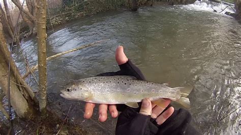 Ouverture de la truite 2016 partie 2 2 pêche au toc de truites