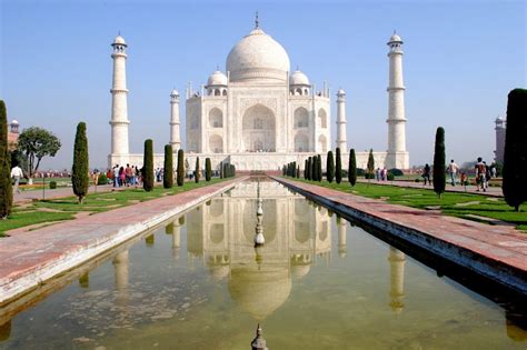 Vertical Garden Selfie Point Near Taj Mahal Gate Collapses