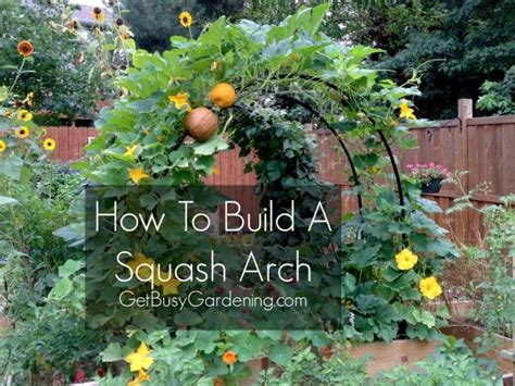 How To Build A Squash Arch