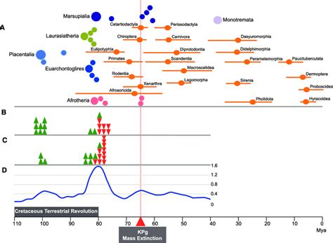 Time Scale Of Major Mammalian Divergence Events During The Past 110 My