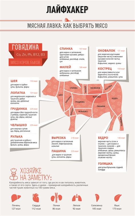 Говядина. Части туши. | Мясо, Говядина, Еда