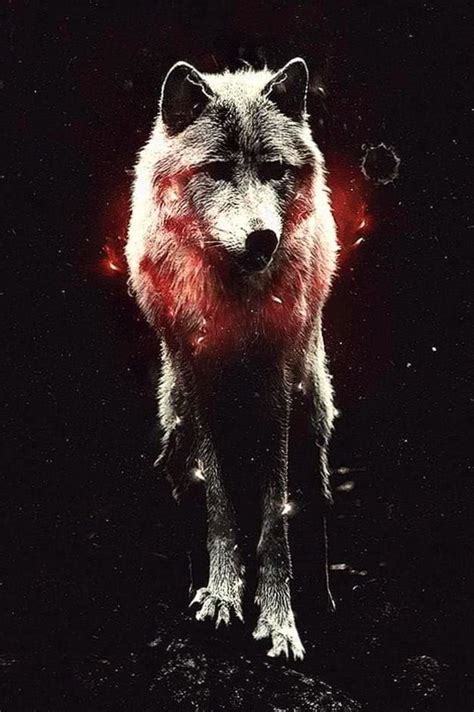 837 Wallpaper For Iphone Wolf Pics MyWeb