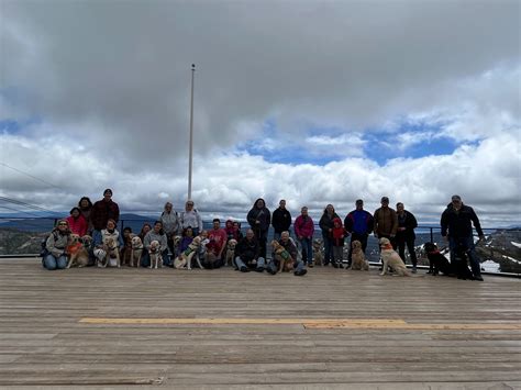 Guide Dogs for the Blind - Thousand Oaks, CA Puppy Raisers added a new
