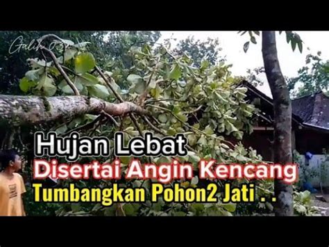 Hujan Deras Disertai Angin Kencang Tumbangkan Pohon Pohon Youtube