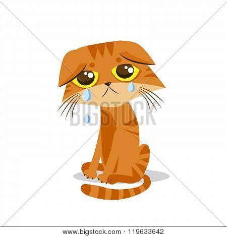 Sad Crying Cat. Vector & Photo (Free Trial) | Bigstock