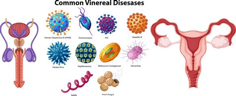 Gonorrhea Vector Images Over